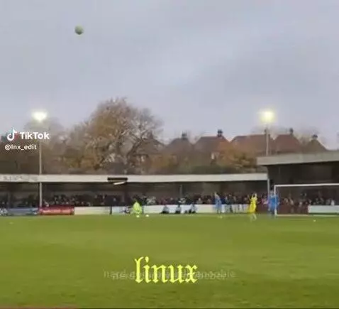 Holy Curve!, Best curve i've seen lowkey by oficiallyanoobie