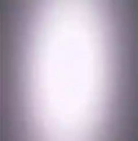 WILLIAM FRICKIN AFTONNN by springtrapisfineaf