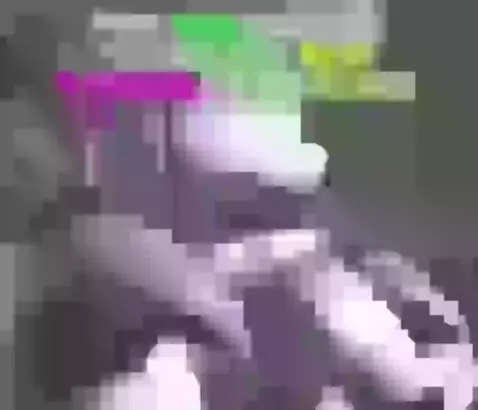 FUNNNIE TIMMIE FOXY...ie by springtrapisfineaf