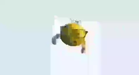 My Photos but if they get bad i'm ending it (Pt. 1) by springtrapisfineaf