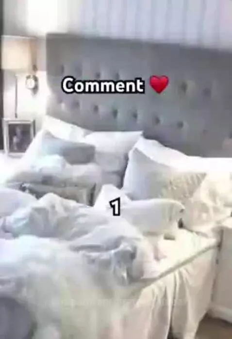 COMMENT and LIKE by springtrapisfineaf