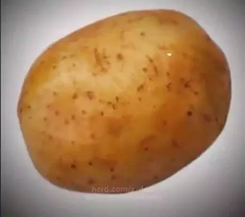 POTATO by x-dod