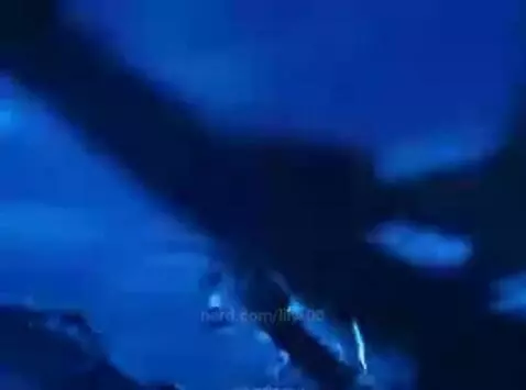 Stranger things by lily-00