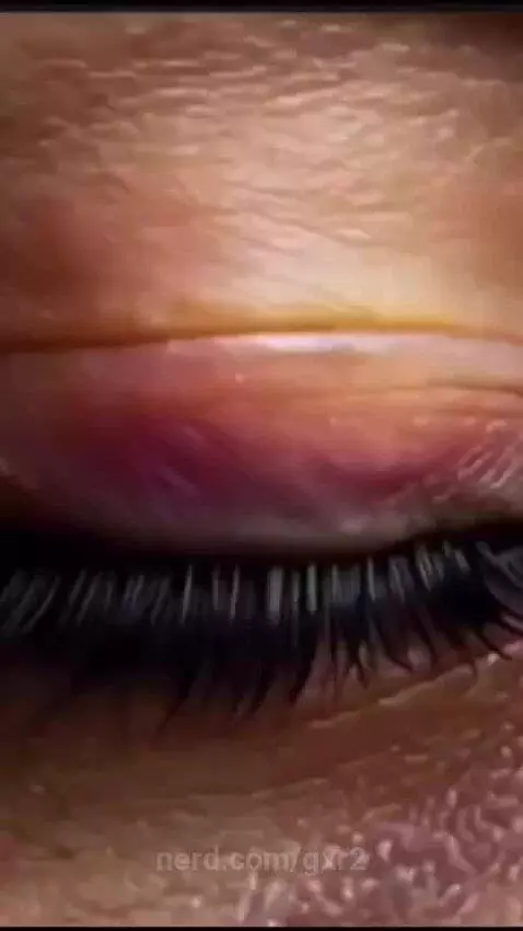 My motha ate fries by gxr2