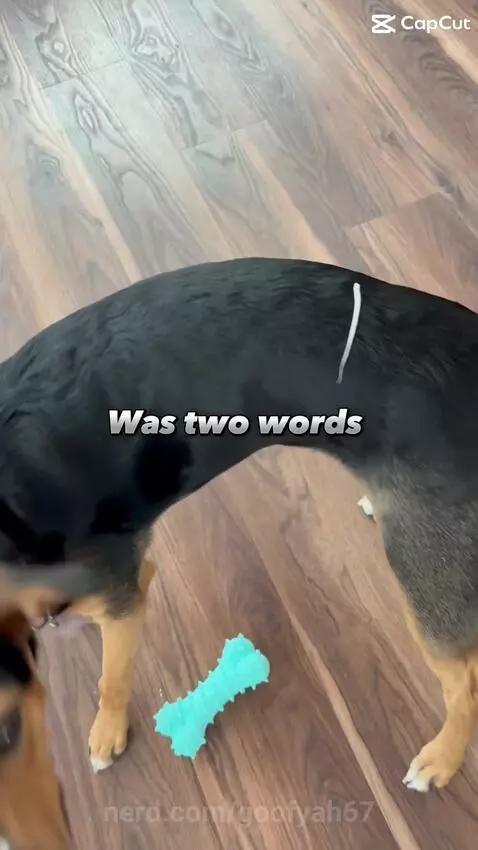 So tuff by goofyah67