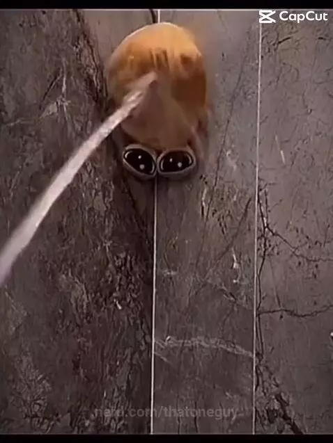 Life without friends by thatoneguy