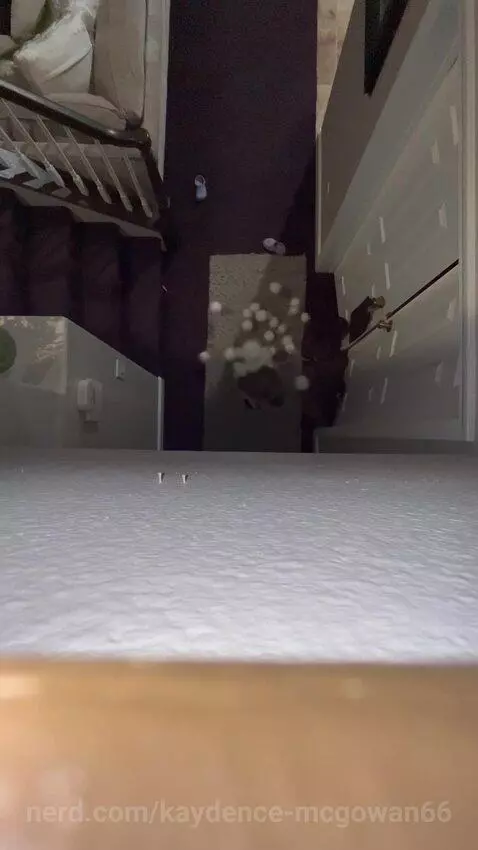 why did she crash out… THEY ARE FAKE SOFT WOOL SNOWBALLS😭 by kaydence-mcgowan66