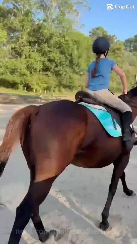 Lexi jumpsss by mallieandherhorse