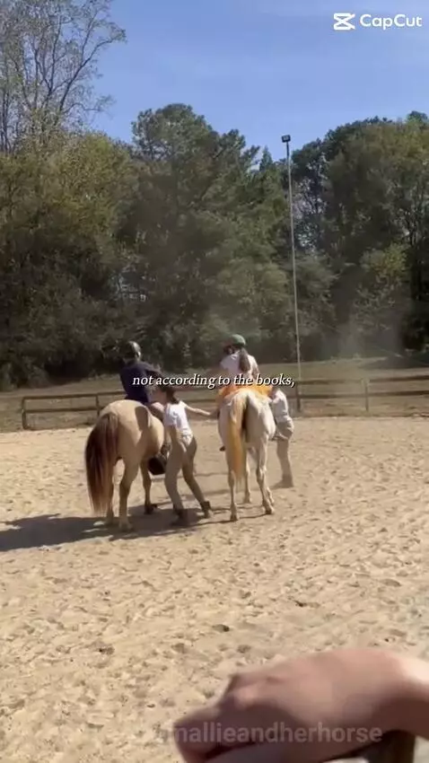 Gabe is my perfect pony❤️ by mallieandherhorse