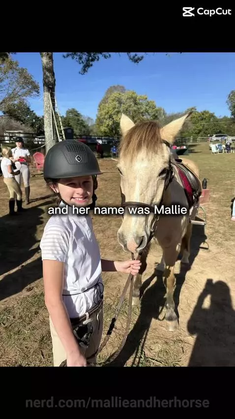 ❤️ by mallieandherhorse