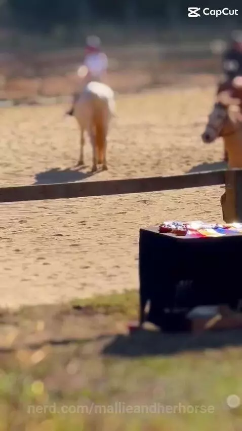 From octobers show by mallieandherhorse