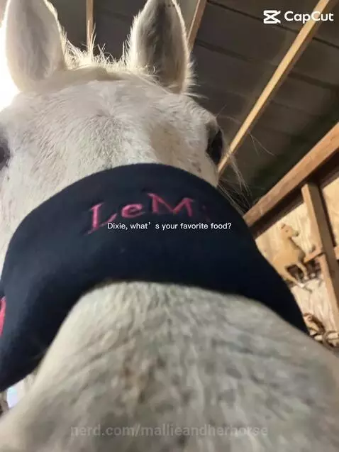 😭😭 by mallieandherhorse