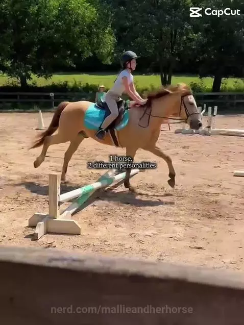 Goofy glue stick pony(still my baddie tho❤️) by mallieandherhorse