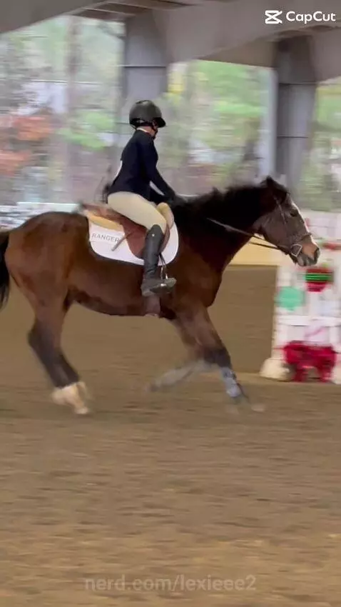 ranger my boy by lexieee2