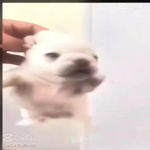 wash my belly!! by lexieee2