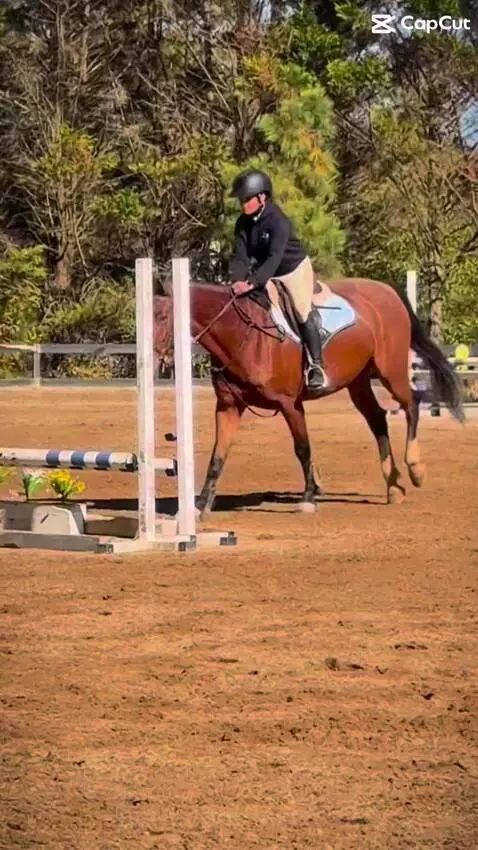 opa opaaa 💗💗 by lexieee2