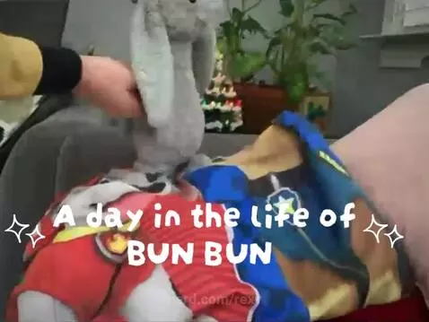 ✨  A day in the life of BUN BUN ✨ by rexy