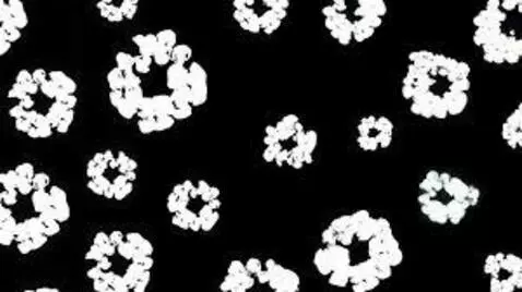 off leash by ragebait