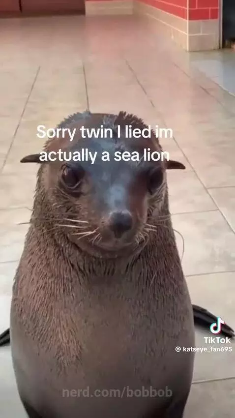 Sorry guys I lied I am not huma by bobbob