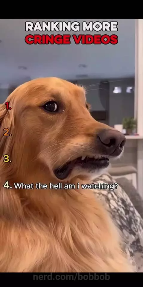 CRINGE AF by bobbob