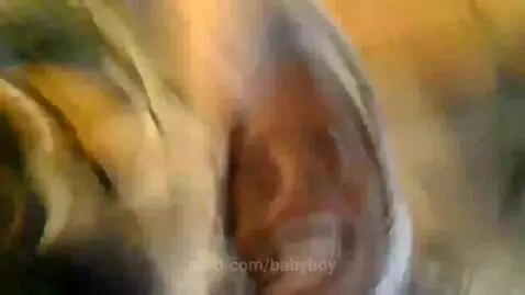 idk, why, he by babyboy