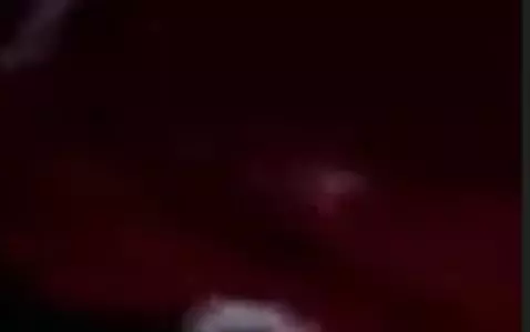 To Shelby Lewis by gangster