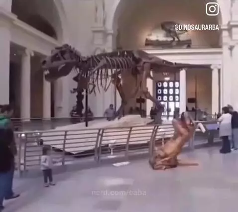 From @DINOSAURARBA by caba