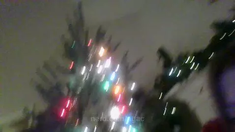 O Christmas tree!!🎄🎶 by agac