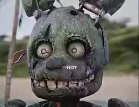 springtrap and bonnie by bryan