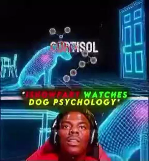 Always love your dog by bryan