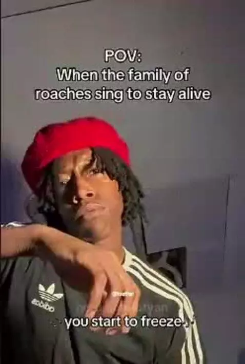 roaches singing by bryan