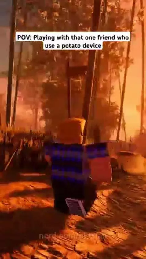 POV: Playing with that one friend who use a potato device. by bloxian