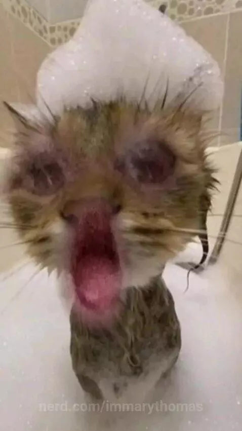 Video by immarythomas