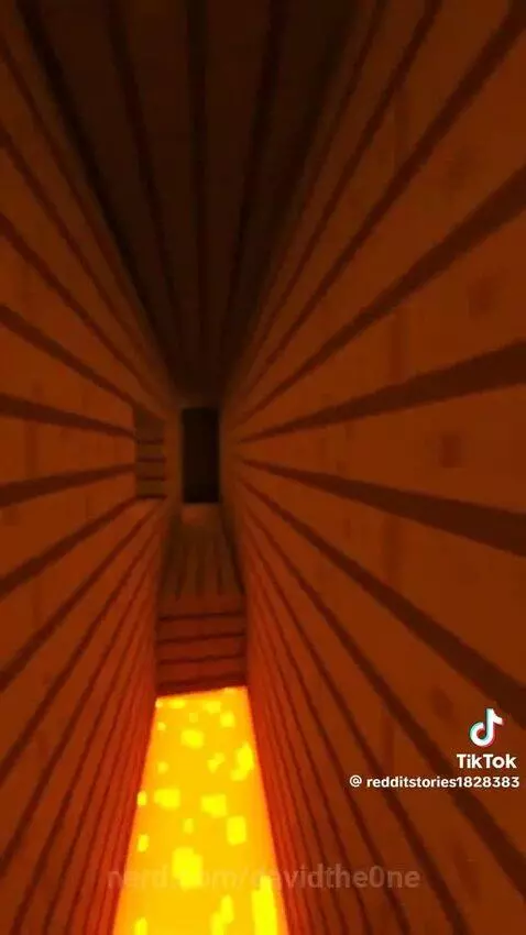 My brother destroyed the entire house over stealabrainrot by davidthe0ne