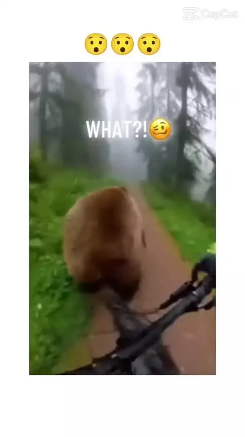 Video by varney-the-one