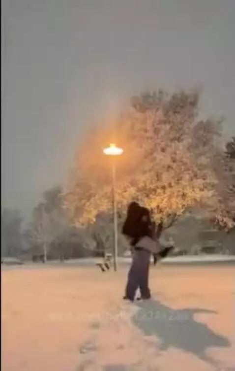 him by bella12341234