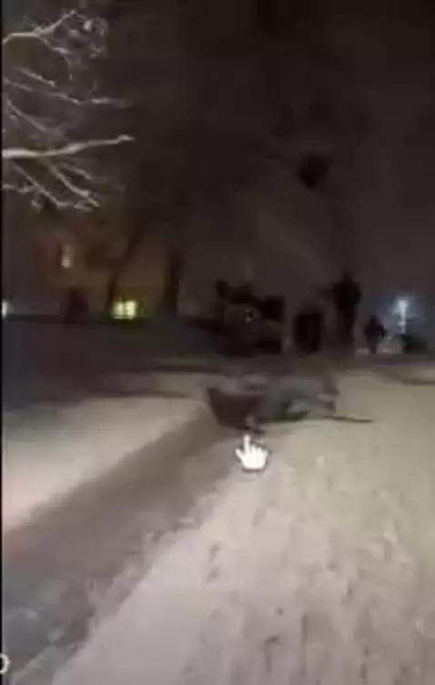 Video by bella12341234