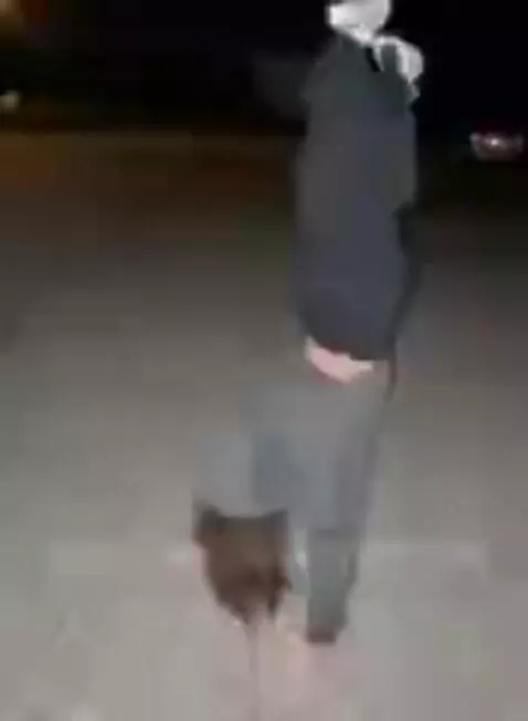 hand stand by bella12341234