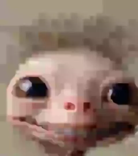 how i think i look by bella12341234