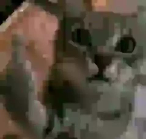 found my twin by bella12341234