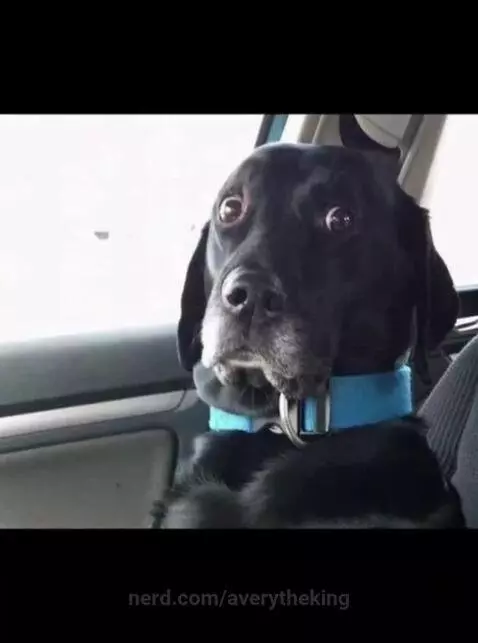 He ain't even NBA ready yet by averytheking