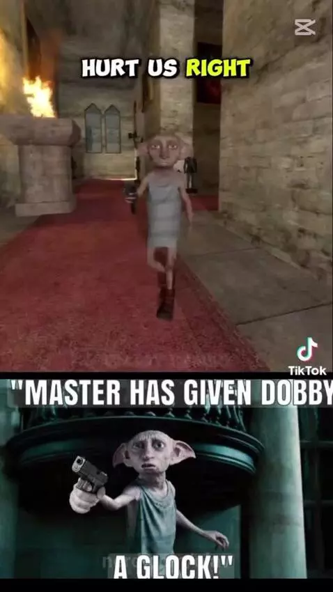 Dobby nooooo by olav