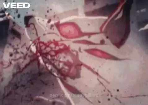 aki edit by stonepillars