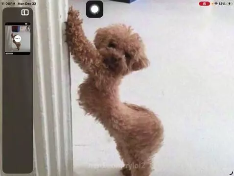 Oh my god 😭🤣🤣 by rylol2