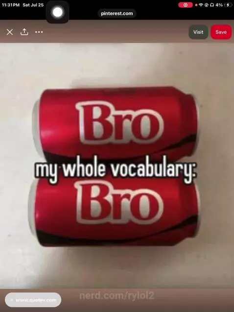 Cant go two minutes without saying bro bro by rylol2