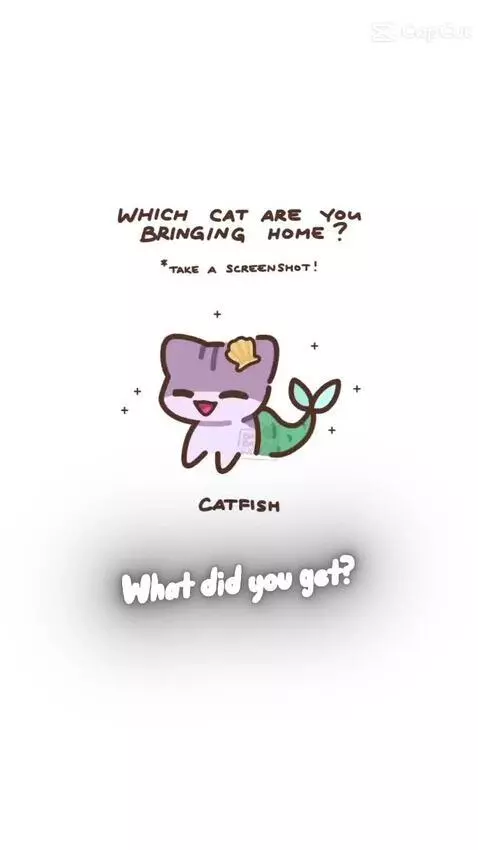 Video by tylertheniceguy1