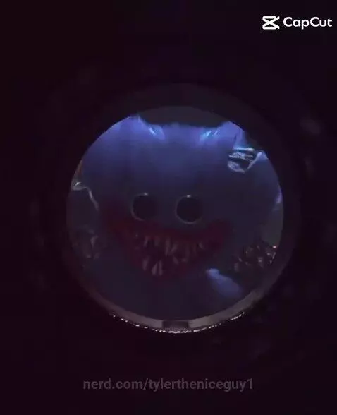 Video by tylertheniceguy1