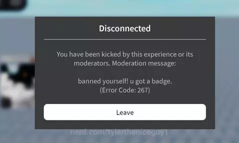 How the hell did I BAN MYSELF by tylertheniceguy1