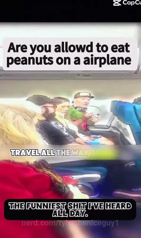 This is crazy by tylertheniceguy1