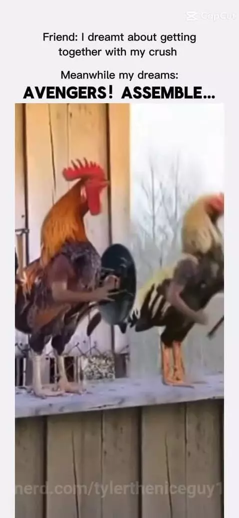 Video by tylertheniceguy1